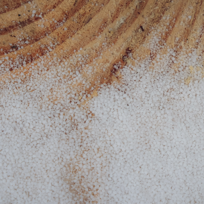 It’s Snow…It’s Rain…No, It’s Graupel Coming to the San Francisco Bay Area