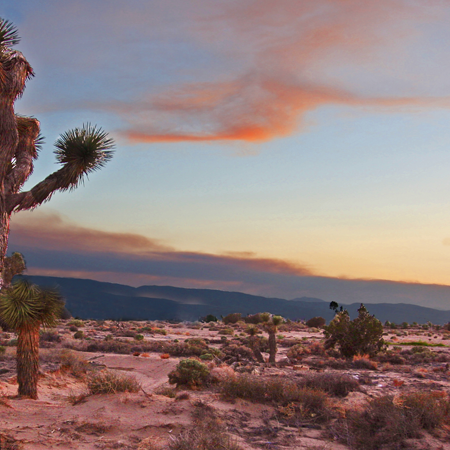Watching the Weather in the Mojave