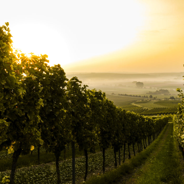 Monitor Air Quality with AirLink to Maximize Agricultural Operations