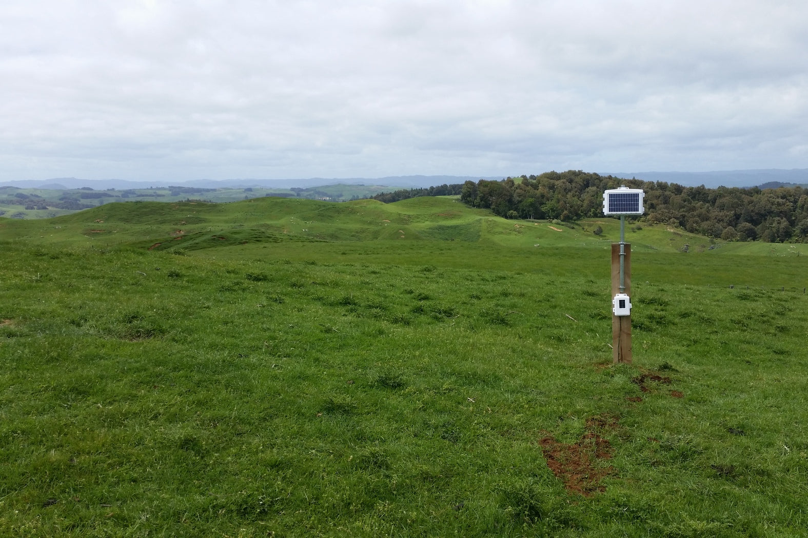 leaf and soil moisture temperature station with EnviroMonitor gateway