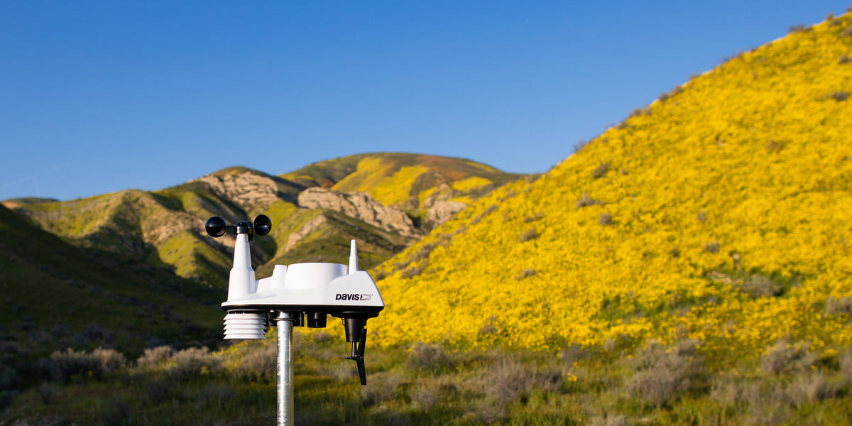 The Magic of Perfect Weather Conditions: Superblooms — Davis Instruments