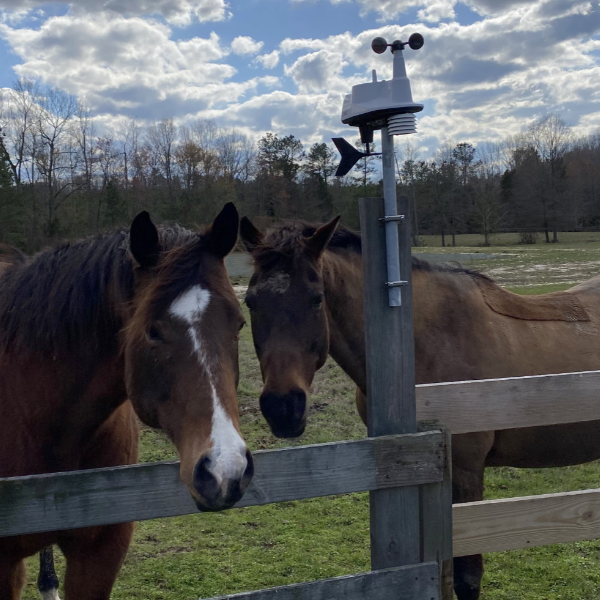 How Painted Sky Ranch Cares for Horses Using Vantage Vue & WeatherLink Console