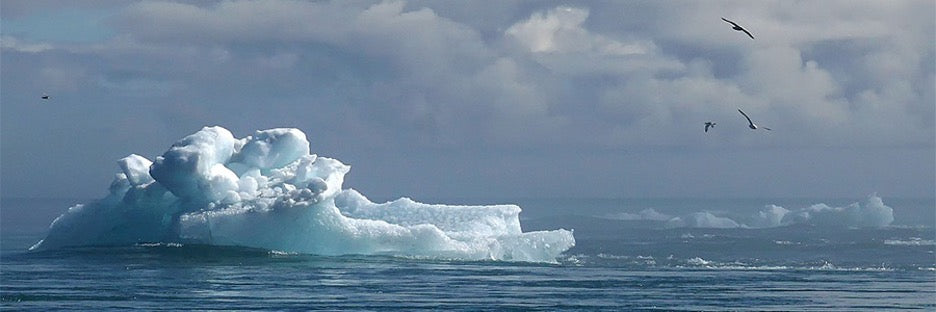 Climate vs Weather: What's the Difference?