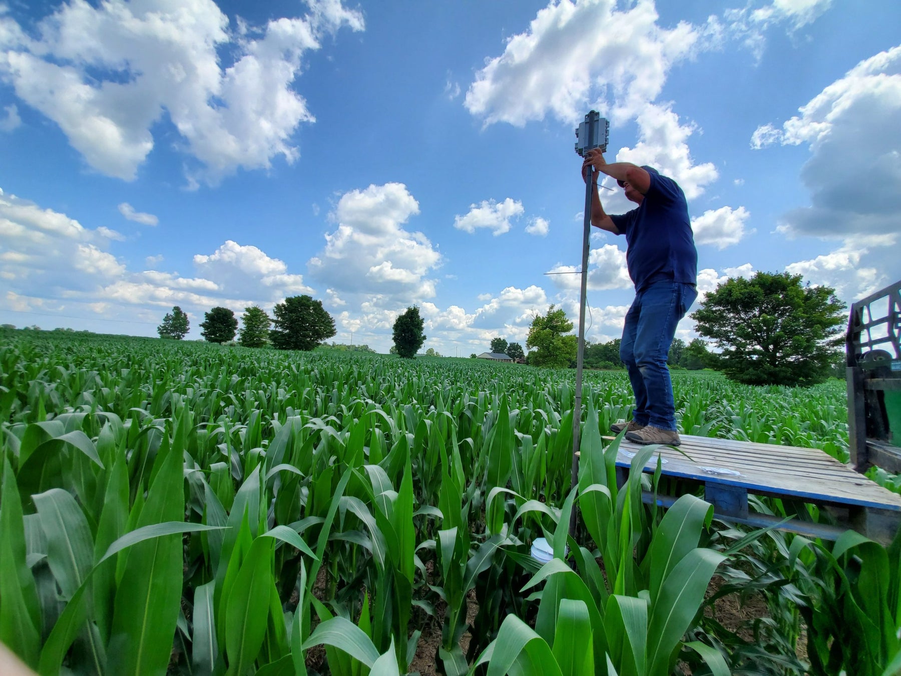 Davis to Empower Data-Driven Farming with Microsoft Azure FarmBeats