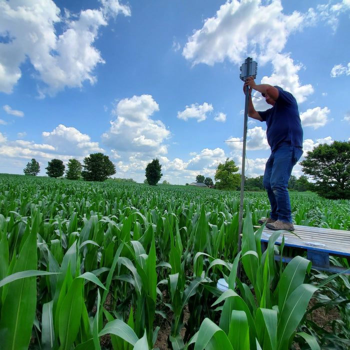 Davis to Empower Data-Driven Farming with Microsoft Azure FarmBeats