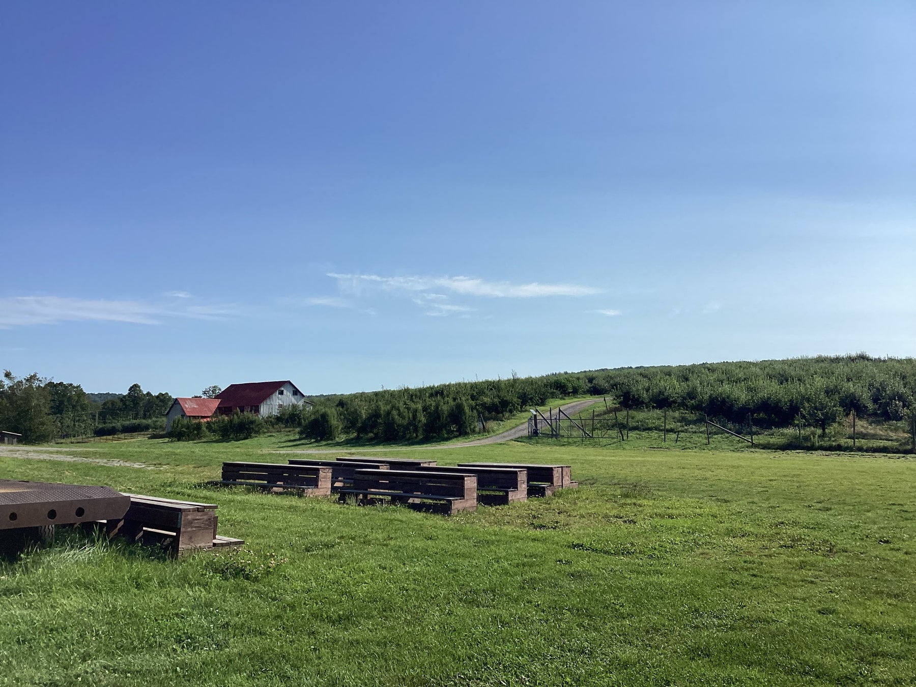 Vermont’s Wellwood Orchards Loses Fruit Tree Harvest but Remains Resilient